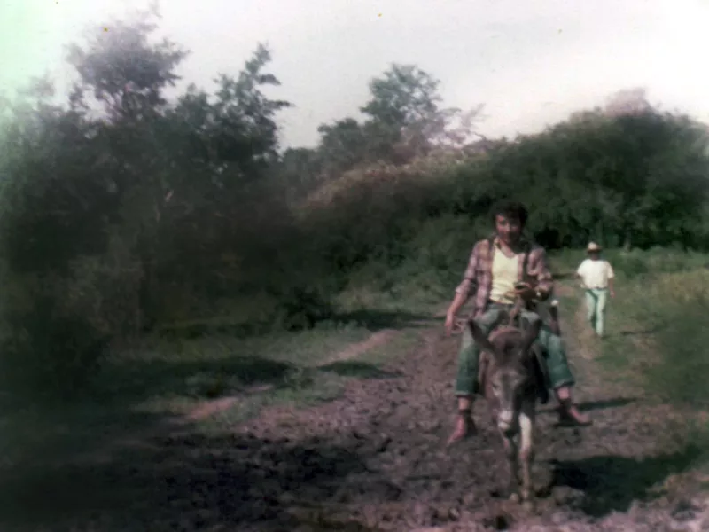 Man riding a donkey down a dirt road